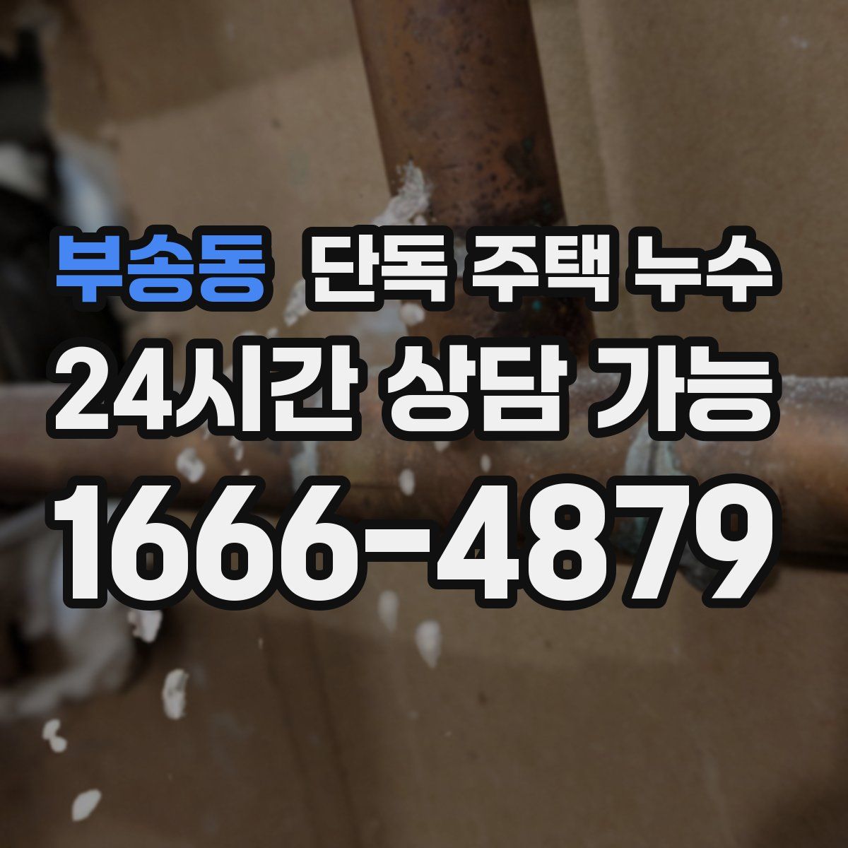 부송동 단독 주택 누수