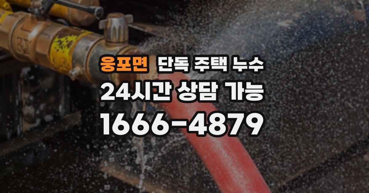 웅포면 단독 주택 누수