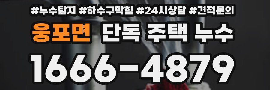 웅포면 단독 주택 누수