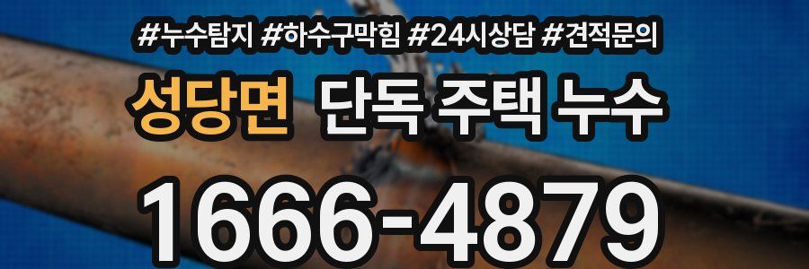 성당면 단독 주택 누수