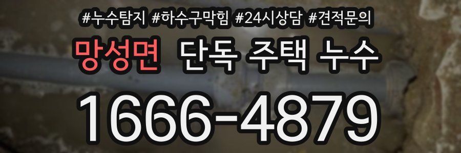 망성면 단독 주택 누수