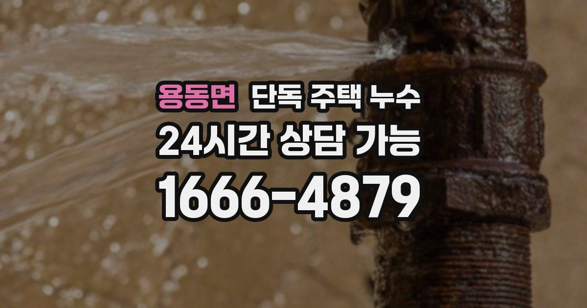 용동면 단독 주택 누수