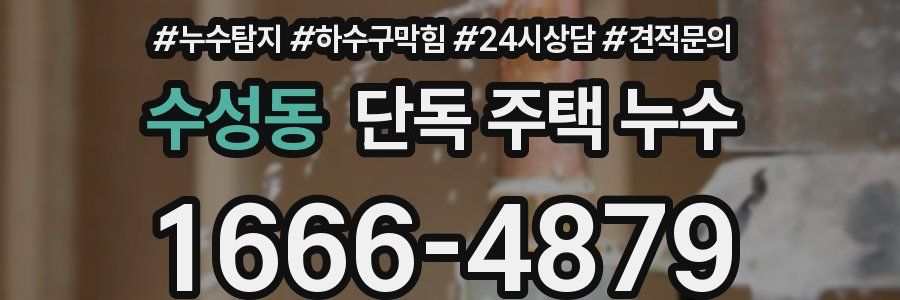수성동 단독 주택 누수