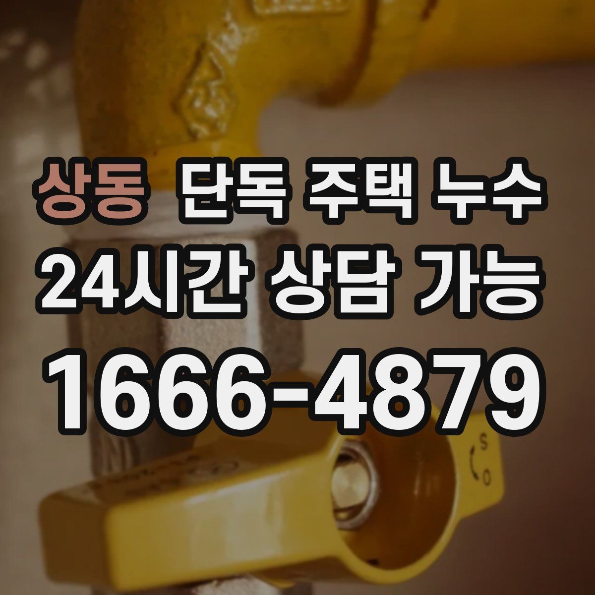 상동 단독 주택 누수 수도요금이 늘었는데 물자국이 없을 때