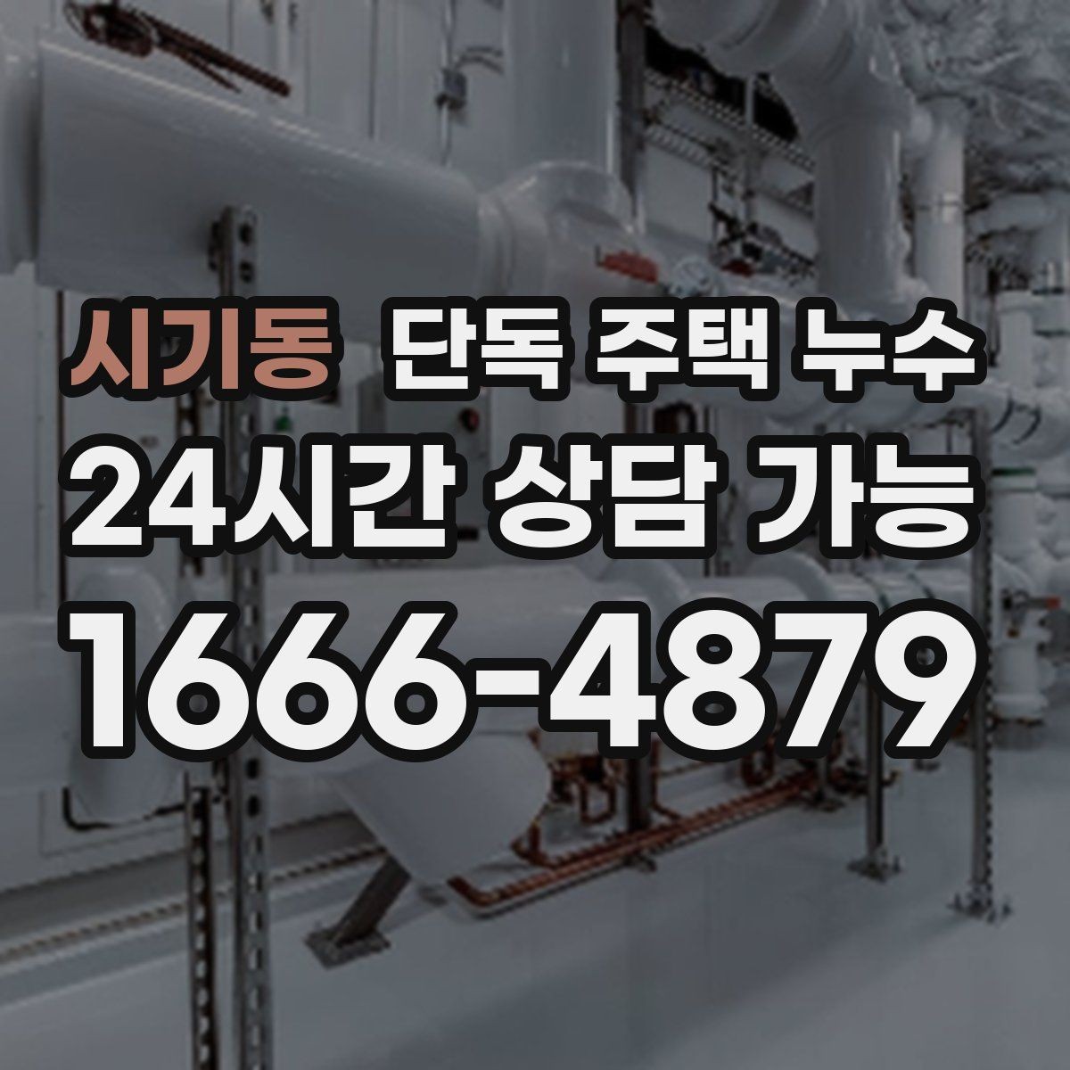 시기동 단독 주택 누수 벽 안쪽 습기 잡는 방법은 무엇일까
