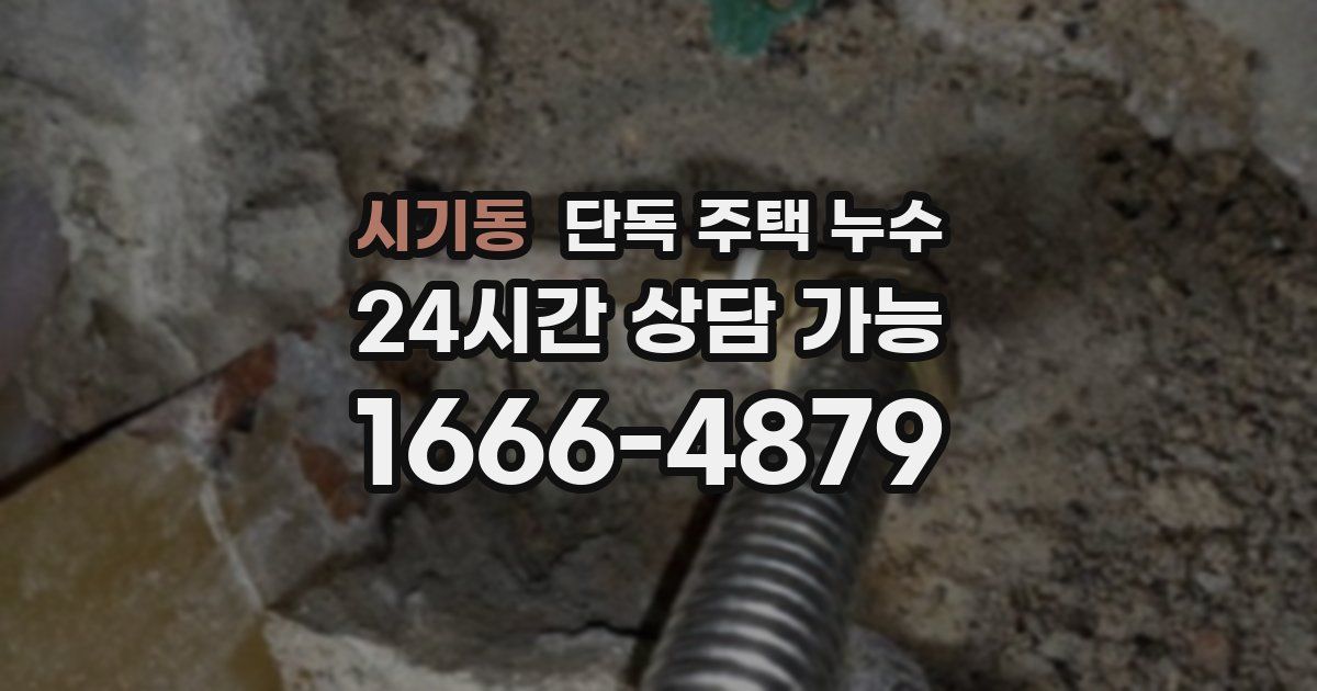 시기동 단독 주택 누수