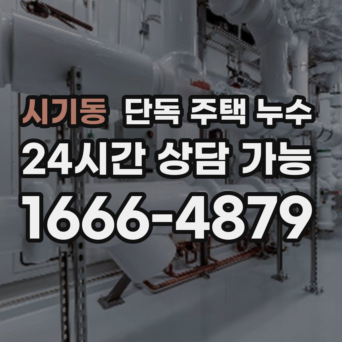 시기동 단독 주택 누수
