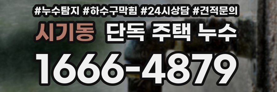 시기동 단독 주택 누수