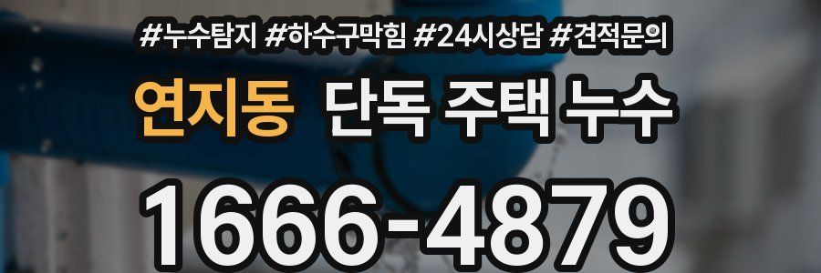 연지동 단독 주택 누수