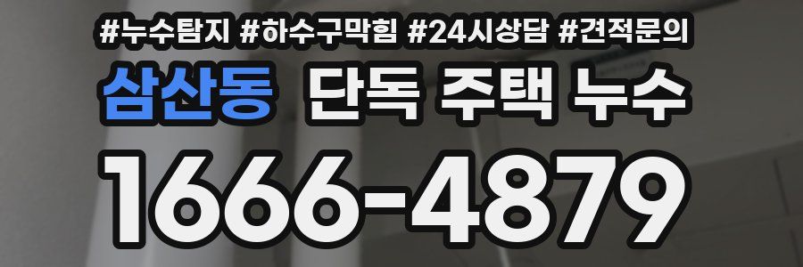 삼산동 단독 주택 누수