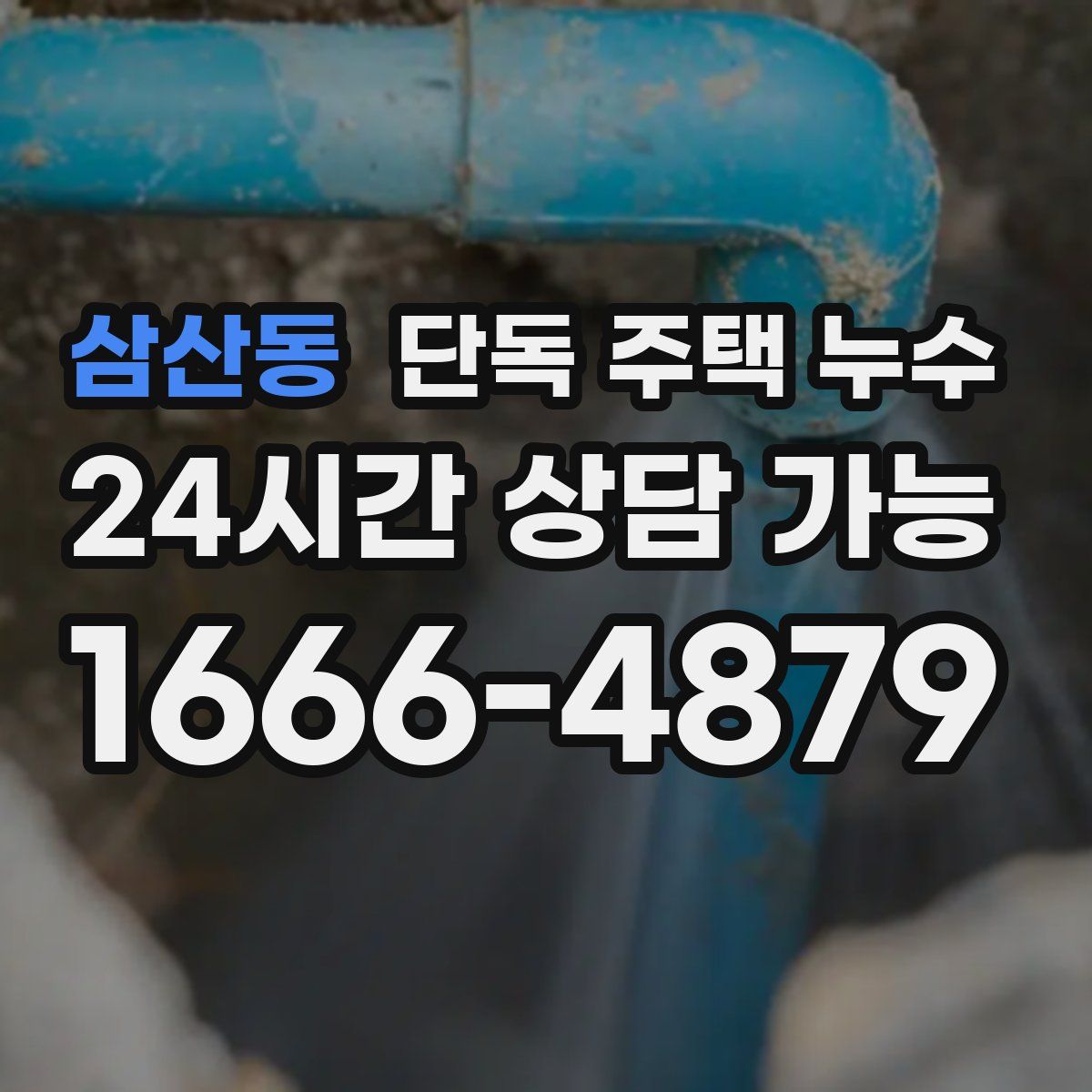 삼산동 단독 주택 누수