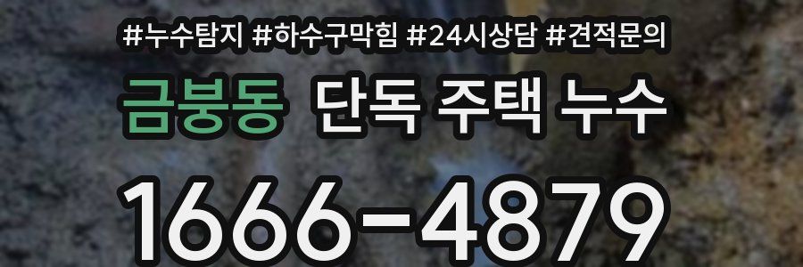 금붕동 단독 주택 누수