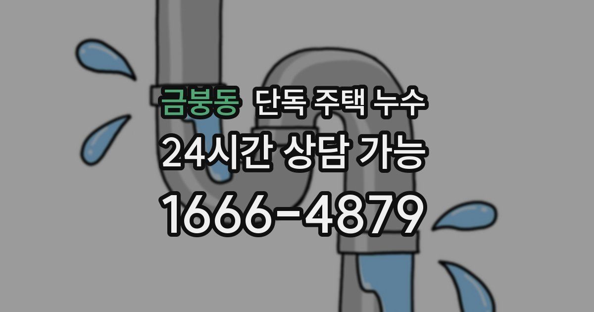 금붕동 단독 주택 누수