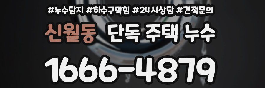 신월동 단독 주택 누수