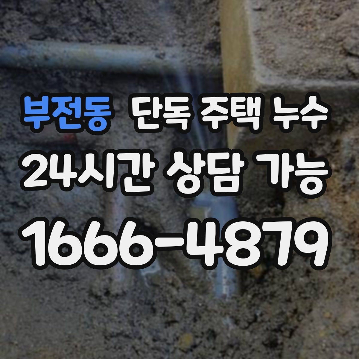 부전동 단독 주택 누수 샤워부스 하부에서 물이 스며들 때