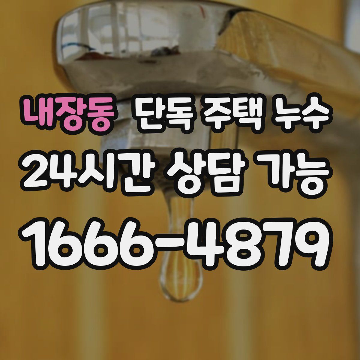 내장동 단독 주택 누수