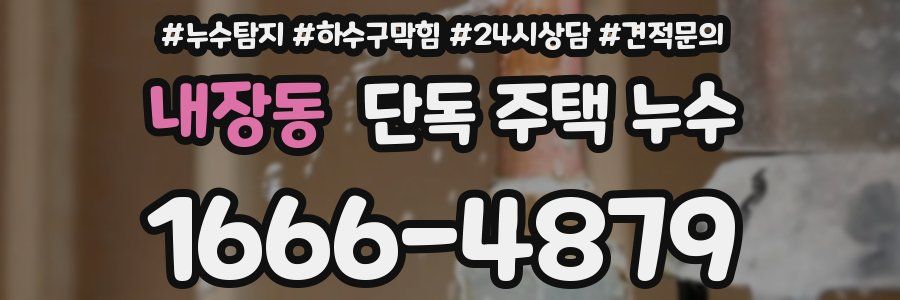내장동 단독 주택 누수