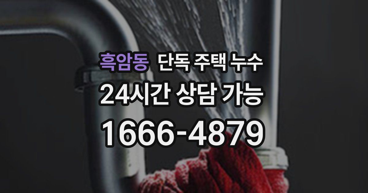 흑암동 단독 주택 누수