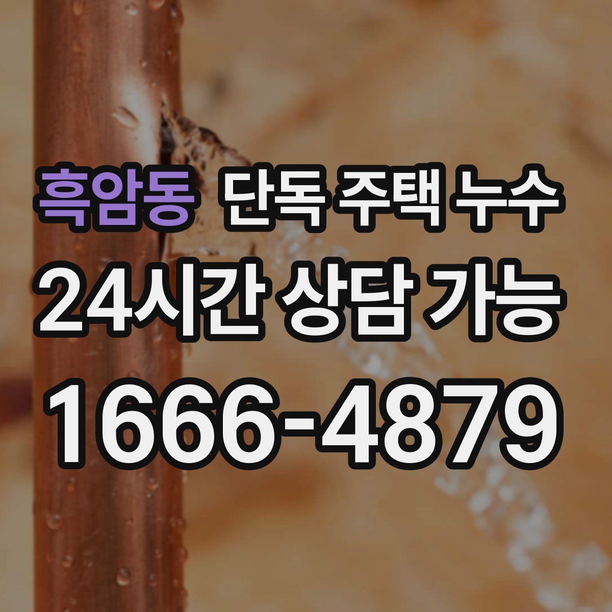 흑암동 단독 주택 누수