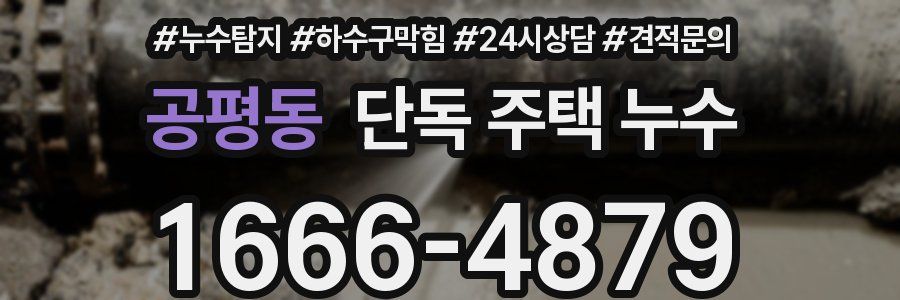 공평동 단독 주택 누수