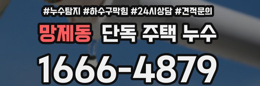 망제동 단독 주택 누수