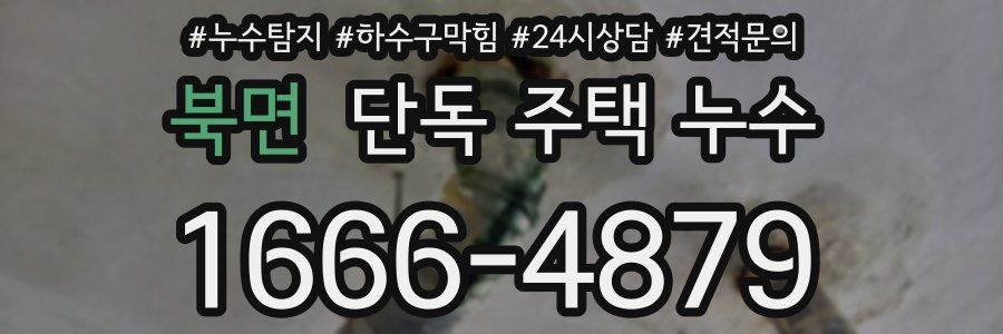 북면 단독 주택 누수