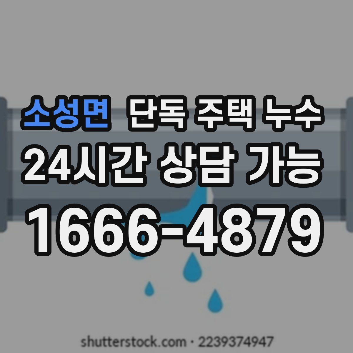 소성면 단독 주택 누수 하수관 냄새와 습기가 같이 올라올 때