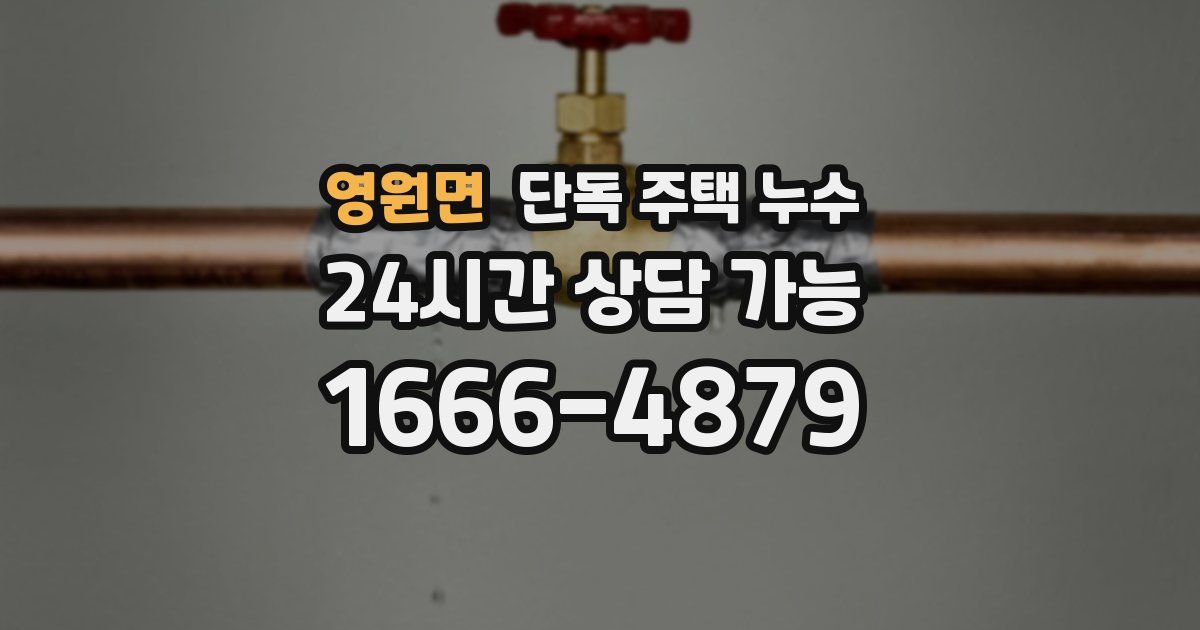 영원면 단독 주택 누수