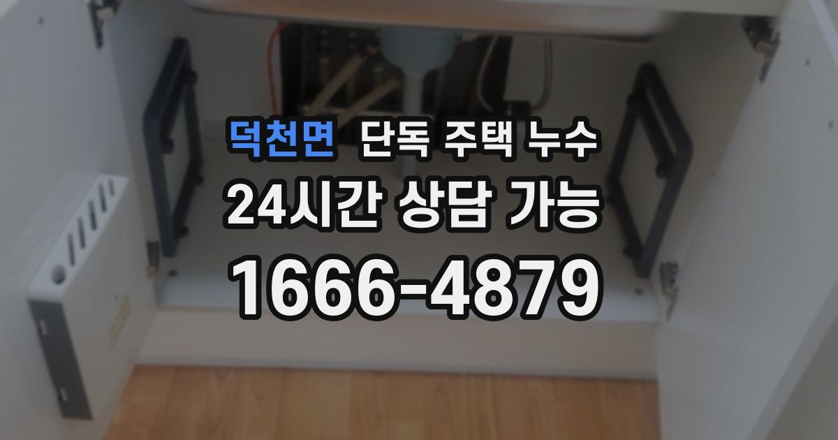 덕천면 단독 주택 누수