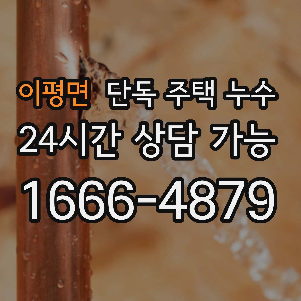 이평면 단독 주택 누수