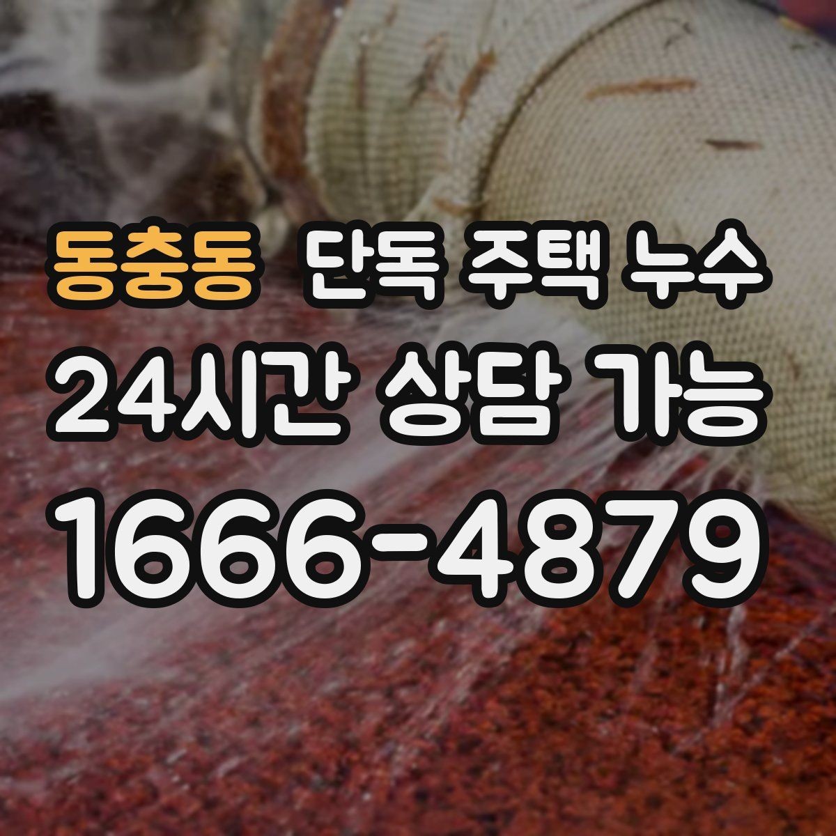 동충동 단독 주택 누수 원인 파악 전까지 생활 불편 줄이는 팁