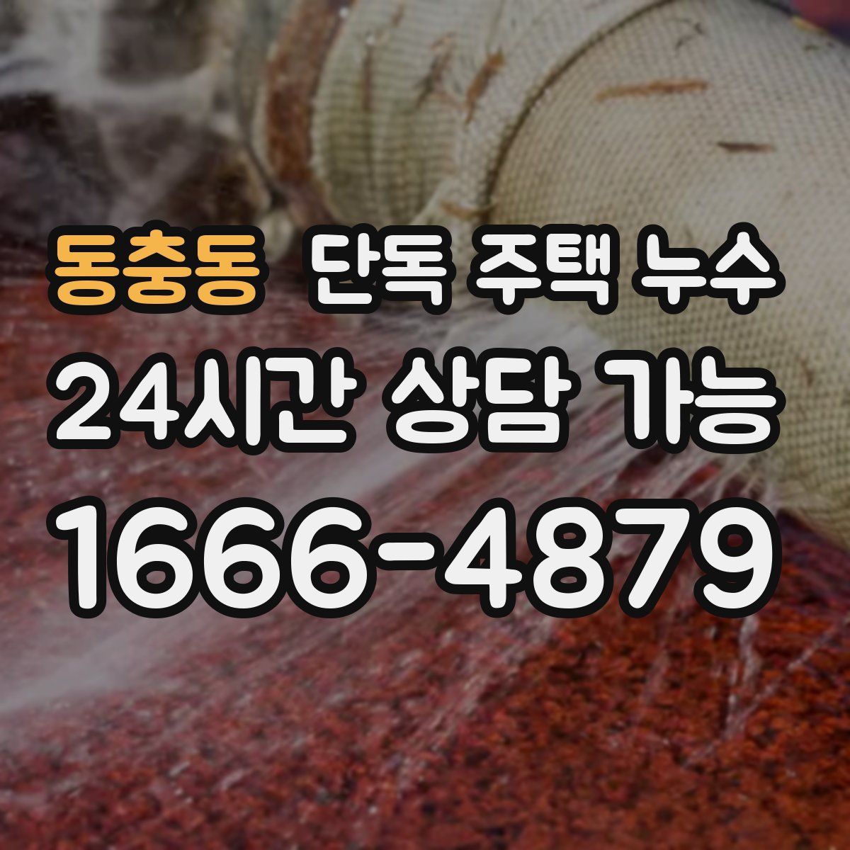 동충동 단독 주택 누수