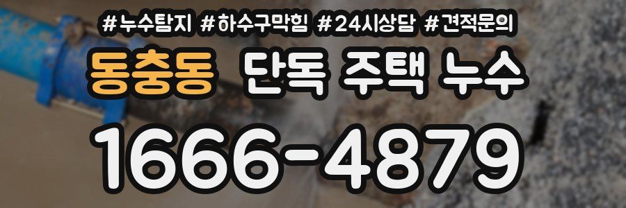 동충동 단독 주택 누수