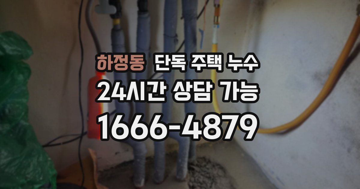 하정동 단독 주택 누수