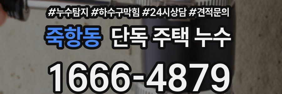 죽항동 단독 주택 누수