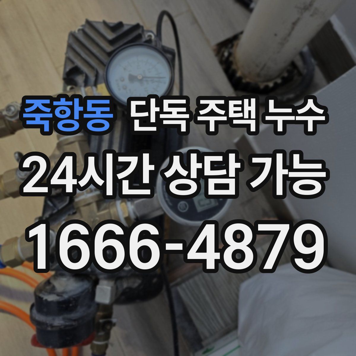 죽항동 단독 주택 누수