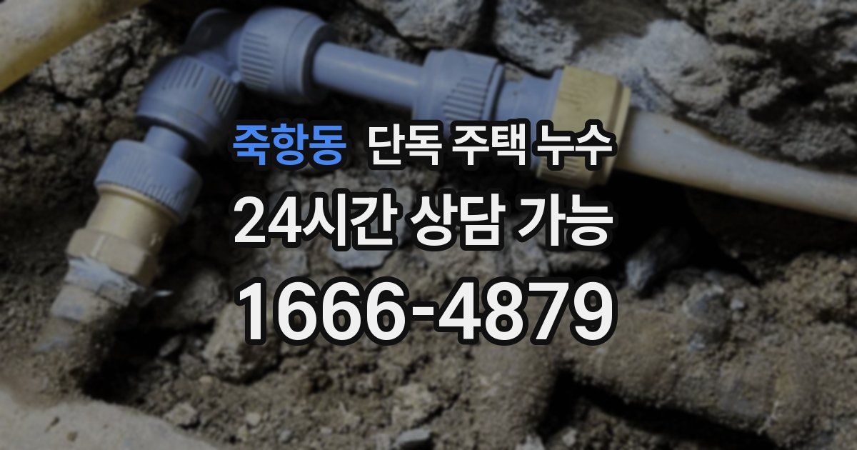 죽항동 단독 주택 누수
