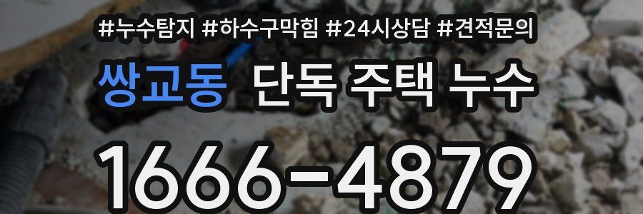 쌍교동 단독 주택 누수