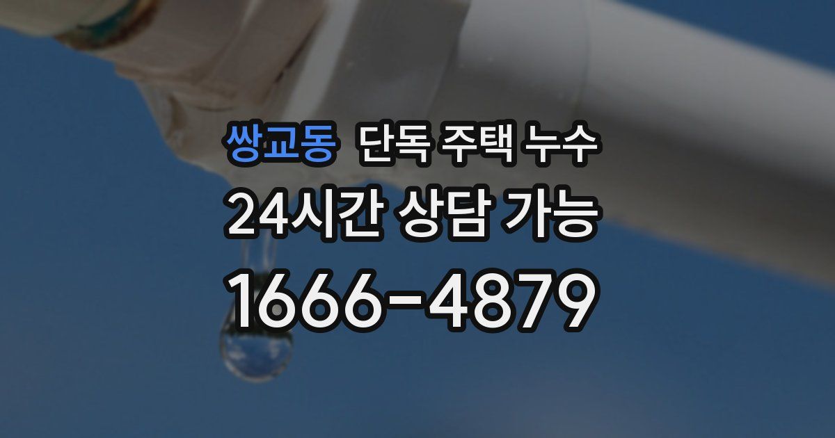 쌍교동 단독 주택 누수