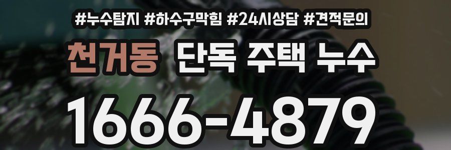 천거동 단독 주택 누수