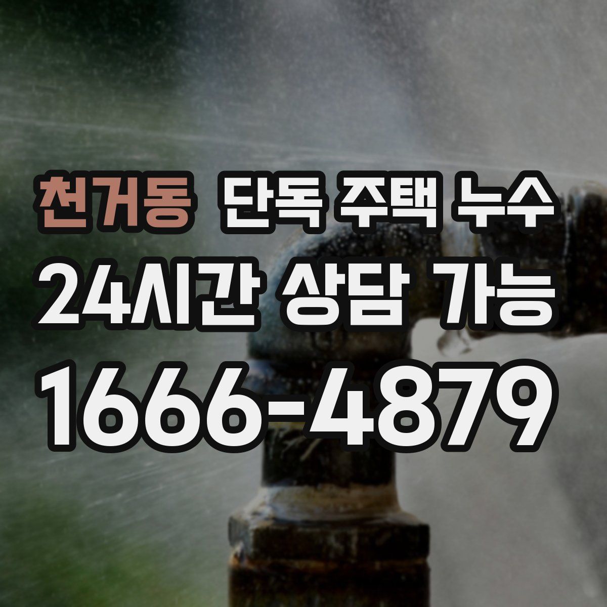 천거동 단독 주택 누수