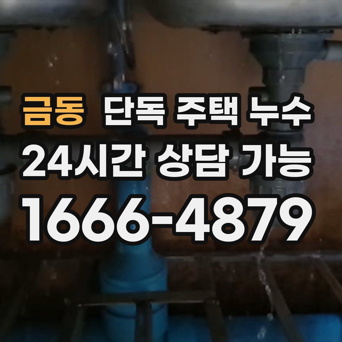 금동 단독 주택 누수 케이블 관통부 실링이 떨어졌을 때