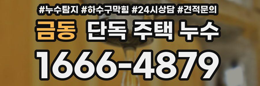 금동 단독 주택 누수