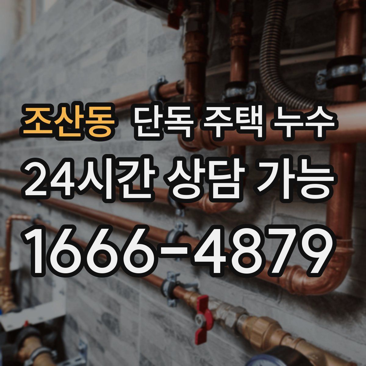 조산동 단독 주택 누수