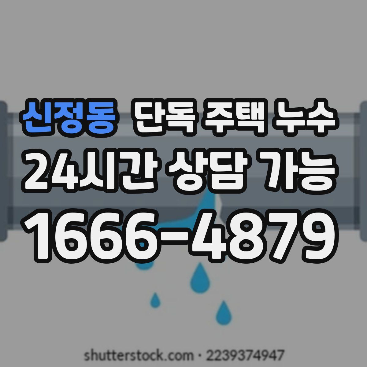 신정동 단독 주택 누수