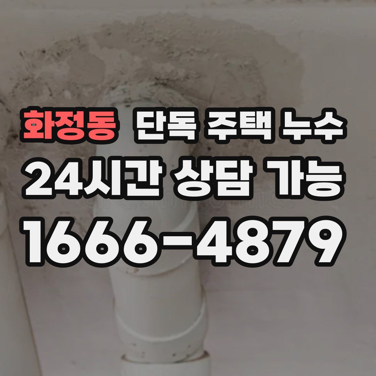 화정동 단독 주택 누수