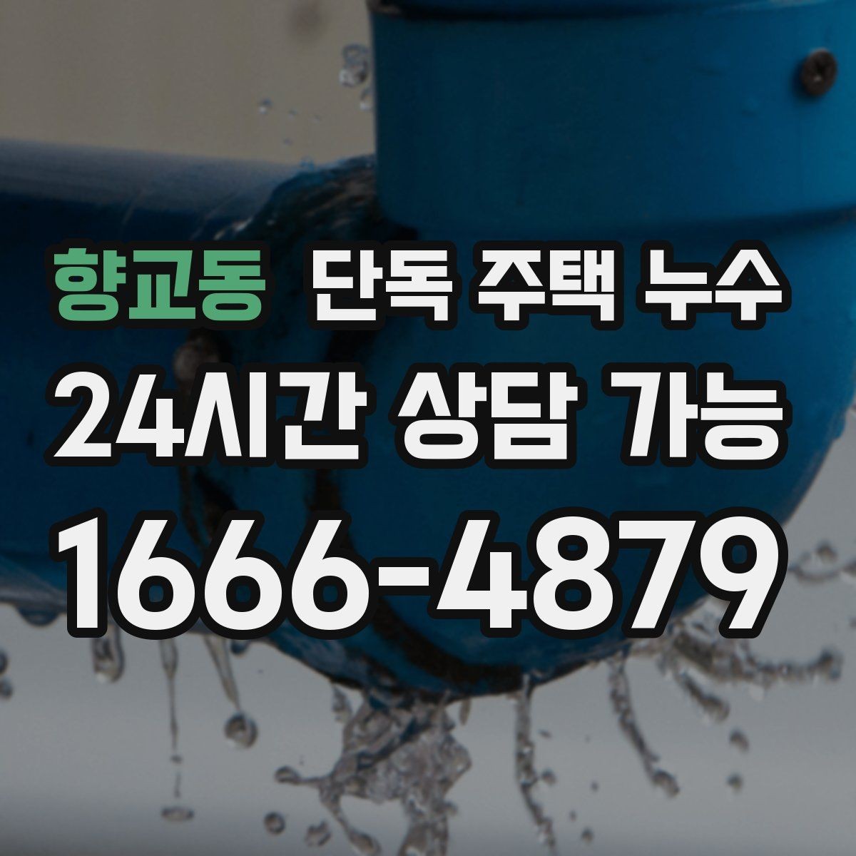 향교동 단독 주택 누수 평소에도 젖는 누수의 특징