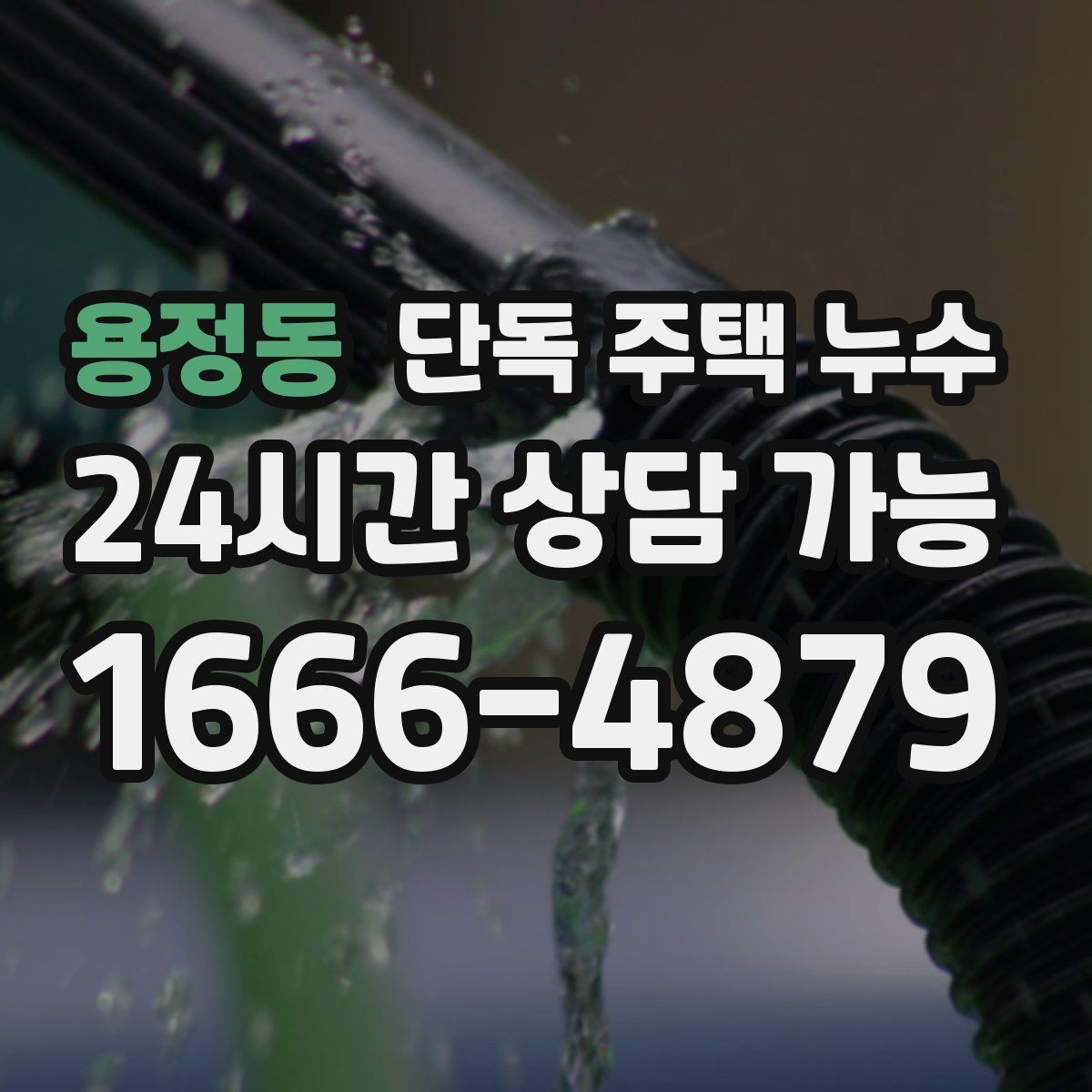 용정동 단독 주택 누수 방 한쪽만 축축할 때 의심 구간