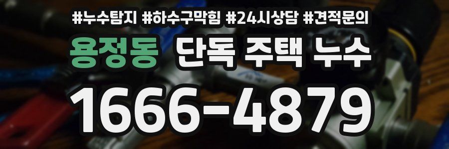 용정동 단독 주택 누수