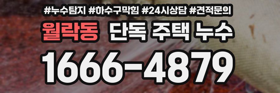 월락동 단독 주택 누수